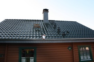 Holzhaus mit dunkelgrünem Dach