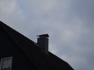Schornstein, mit Schiefer verkleidet