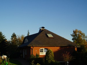 Rotes Haus mit schwarzem Dach